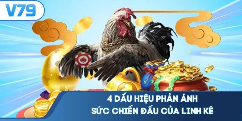 4 dấu hiệu phản ánh sức chiến đấu của linh kê