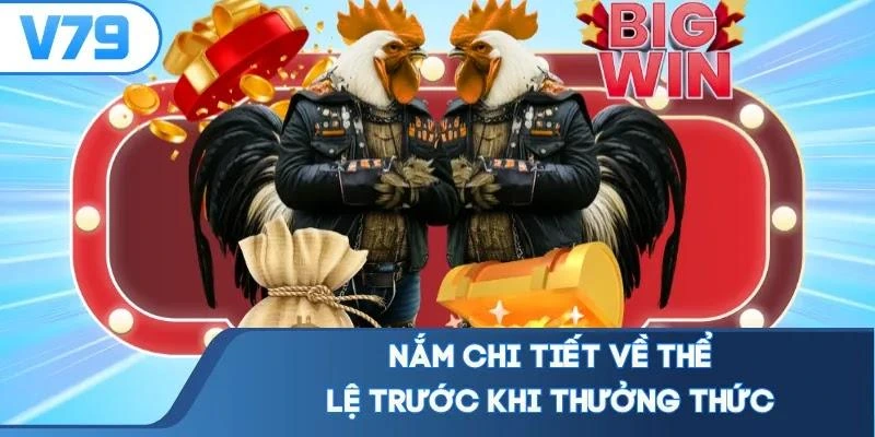 Nắm chi tiết về thể lệ trước khi thưởng thức