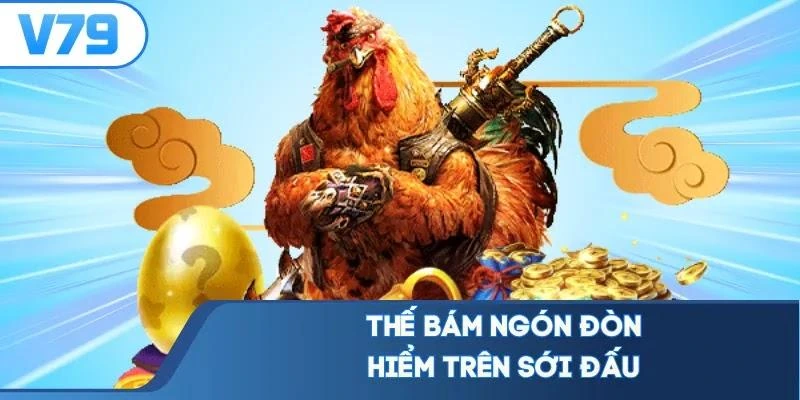 the-bam-ngon-don-hiem-tren-soi-dau Thế bám ngón đòn hiểm trên sới đấu