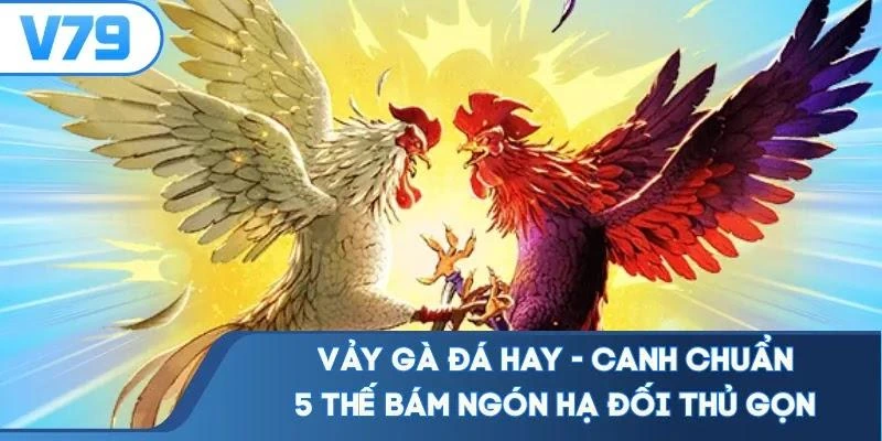 Vảy Gà Đá Hay - Canh Chuẩn 5 Thế Bám Ngón Hạ Đối Thủ Gọn